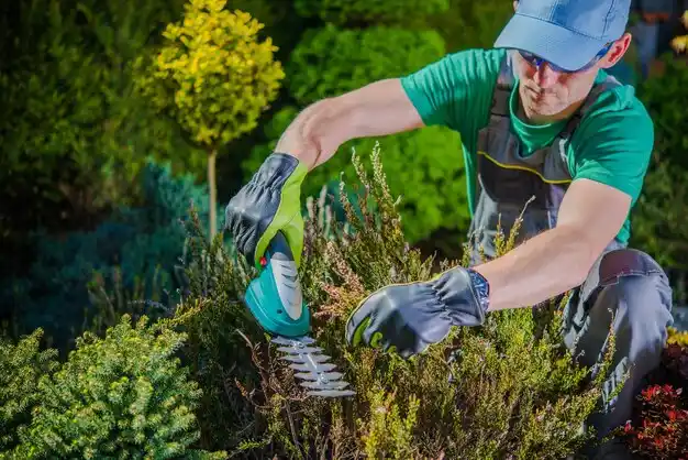 landscaping services Madison